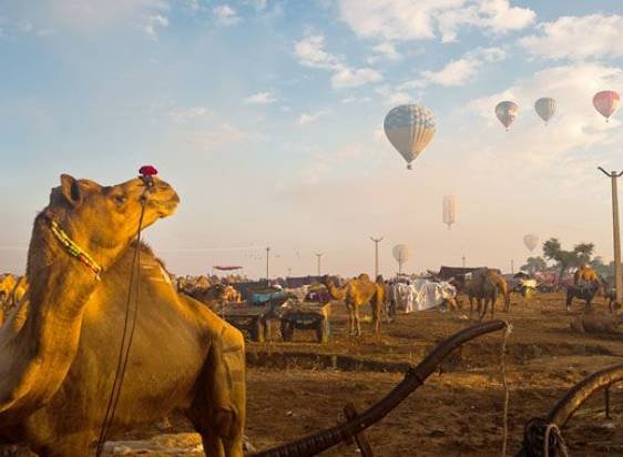 Golden Triangle Tour with Pushkar Fair